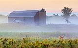 Barn In Mist_25817